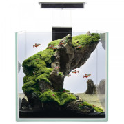 Акваріумний комплект Природа Міні-куб 22х22х22 см 9,5 л