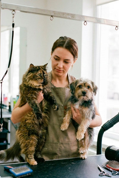 Для професійного грумінгу