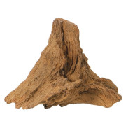 Корень Мангровый (S) 15-25см