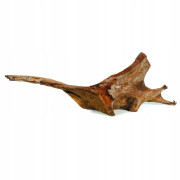 Корень Мангровый (L)