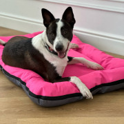 DIEGO rest "Сірий-фуксія" - 1-розмір, фуксія