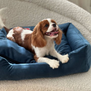 DIEGO rest lux "Синій" - 6-розмір