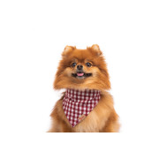 Нашийник-бандана DIEGO - біло-червона, l