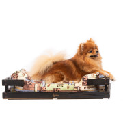 Дерев’яний стелаж для лежака DIEGO wood - l