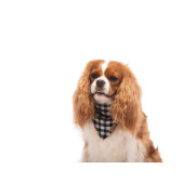 Нашийник-бандана DIEGO - біло-чорна, l