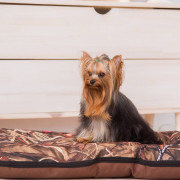 DIEGO rest “Хантер” - 2-розмір