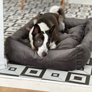 DIEGO rest lux "Сірий" - 6-розмір