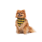 Нашийник-бандана DIEGO - жовто-чорна, m