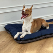 DIEGO rest "Cіро-синій" - 1-розмір