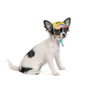 Кепка SUMMER XS желтая