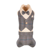 Костюм святковий Pet Fashion Happy для собак XS